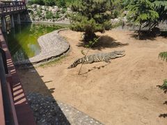 -石家庄市动物园