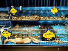 -韩记海鲜饺子旗舰店(红海新区店)