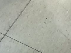 -萌兽医馆·眼科·异宠专科(三里屯店)