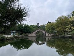 -江心屿景区