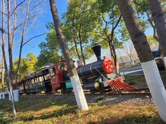 -合肥滨湖国家森林公园