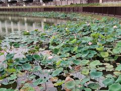 -桃源咖啡厅(武夷山大红袍山庄店)