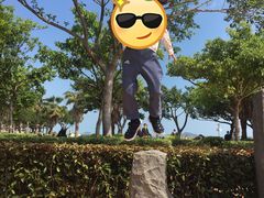 -音乐广场