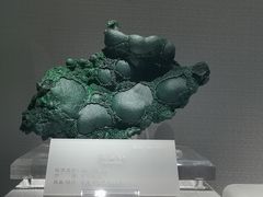 -湖南省地质博物馆