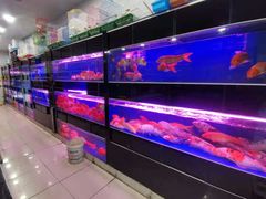 -南汇花鸟市场(上海浦东新花卉店)