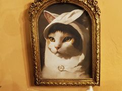 -猫岛主趣味餐厅(鼓浪屿店)