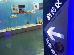-西安曲江海洋极地公园