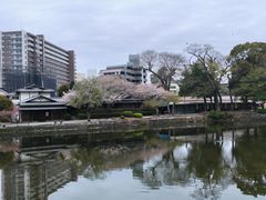 -水前寺成趣园