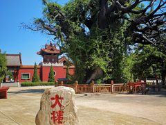 -大槐树寻根祭祖园