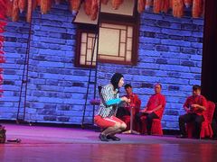 演出-南风大剧院莎梦二人转剧场