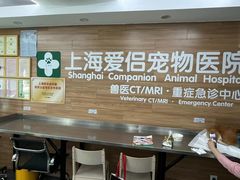 -爱侣宠医·鹦鹉专科·小型哺乳类·异宠专科(灵石路店)