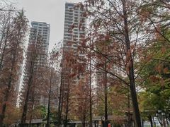 -映月湖公园