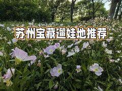 -苏州太湖国家湿地公园