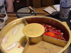 -巴奴毛肚火锅(广益哥伦布店)