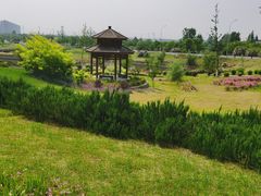 -吼山森林公园