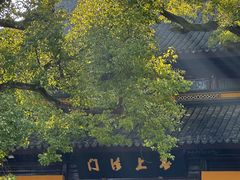 -西园戒幢律寺