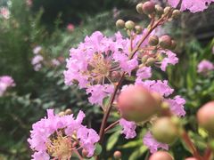 -晓港公园