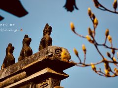 -北京艺术博物馆(万寿寺)