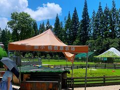 -前小桔亲子创意农场·草莓采摘·露营烧烤