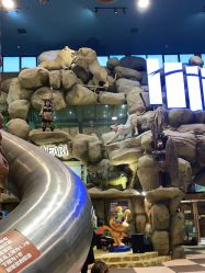 -卡通尼·Safari非洲探索乐园·生日会(金桥国际商业广场店)