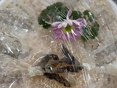 -官塘陈记鱼生·潮汕砂锅粥·牛肉火锅(潮枫路总店)