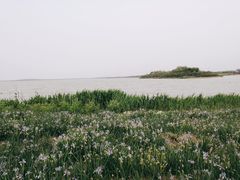 -天津东丽湖风景区