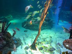 -沈阳海洋探索中心