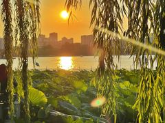 -济南大明湖景区