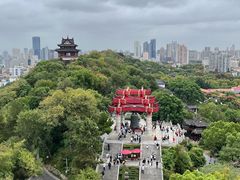 -黄鹤楼公园(黄鹤楼)