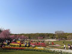 -凤凰沟景区