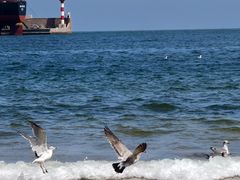 -海驴岛(荣成市)