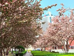 -唐山抗震纪念碑广场