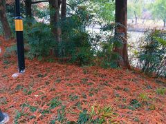 -杭州半山国家森林公园