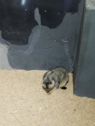 -酷嗒动物文化乐园(cutezoo西溪乐天城店)