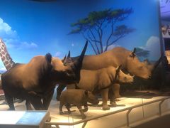 -贝林大翅鲸简餐厅(国家海洋博物馆店)