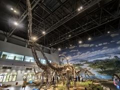 -自贡恐龙博物馆