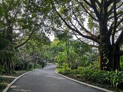 -南宁南湖公园