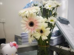 -循礼门鲜花花市(武汉循礼门店)