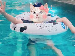 -青水瓦台汤泉(未央店)