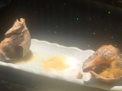 -真剑日本料理·铁板烧(贵州路店)