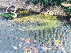 -碧桂园十里银滩