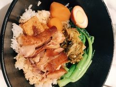 -MR鹅外