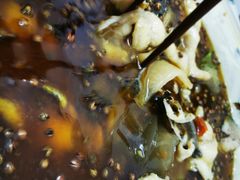 激情椒麻锅-蓉城鱼馆•活鱼现做(六道湾店)