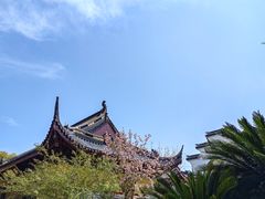-月栖华明-云间草堂清茶馆(泗泾古镇店)
