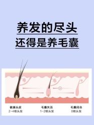 -Bollins波林丝•专研护发中心