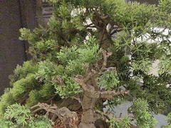 -大妙火锅·非物质文化遗产(东湖公园店)