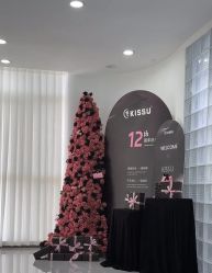 -KISS U 国际美学