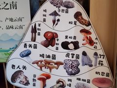 -云采云南菜(中山北路店)