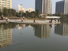 -南翔镇银翔湖公园