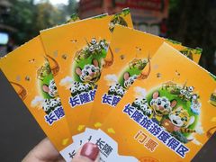 -广州长隆欢乐世界